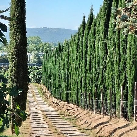 Camugnano Farm Rapolano Terme Exterior foto
