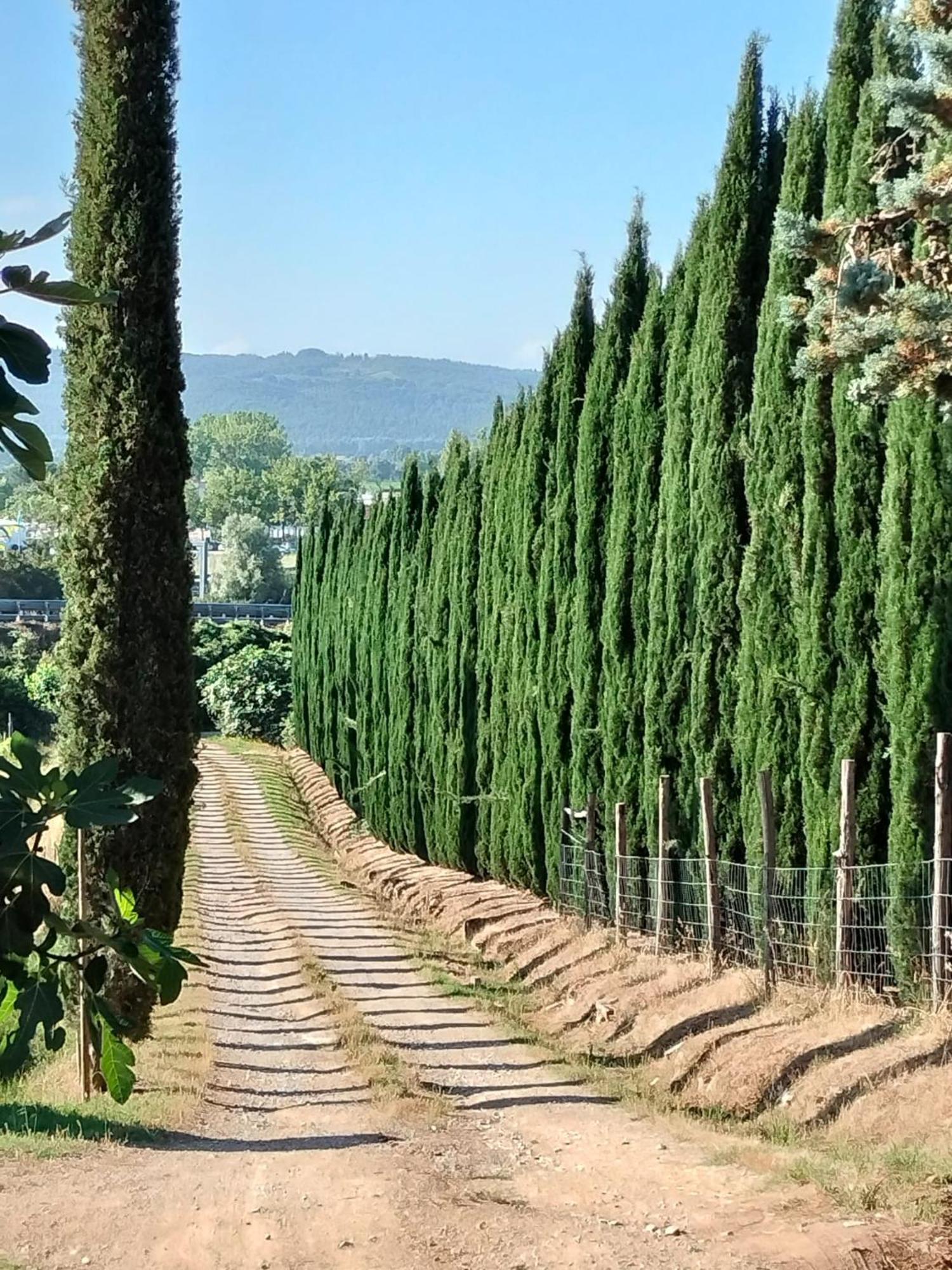 Camugnano Farm Rapolano Terme Exterior foto